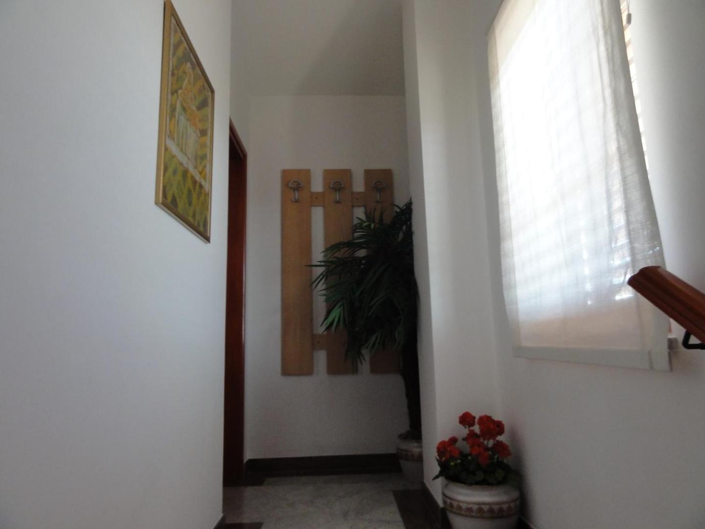 Segotici Cozy Apartments And Rooms Pavicini מראה חיצוני תמונה